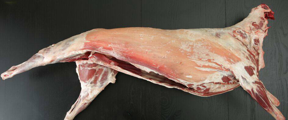 Lamb Carcass
